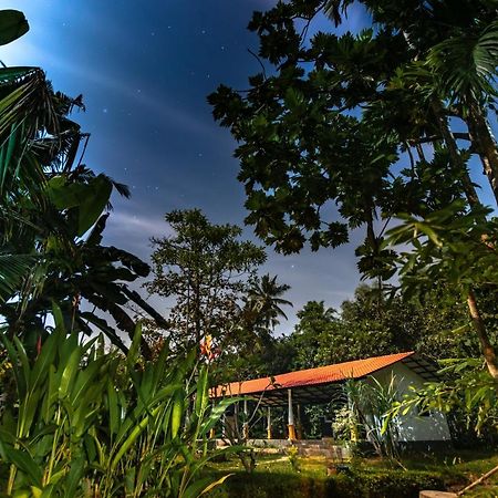 Coconut Villa Midigama Exterior photo